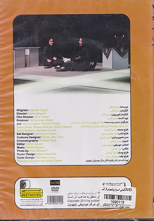DVDماضی استمراری